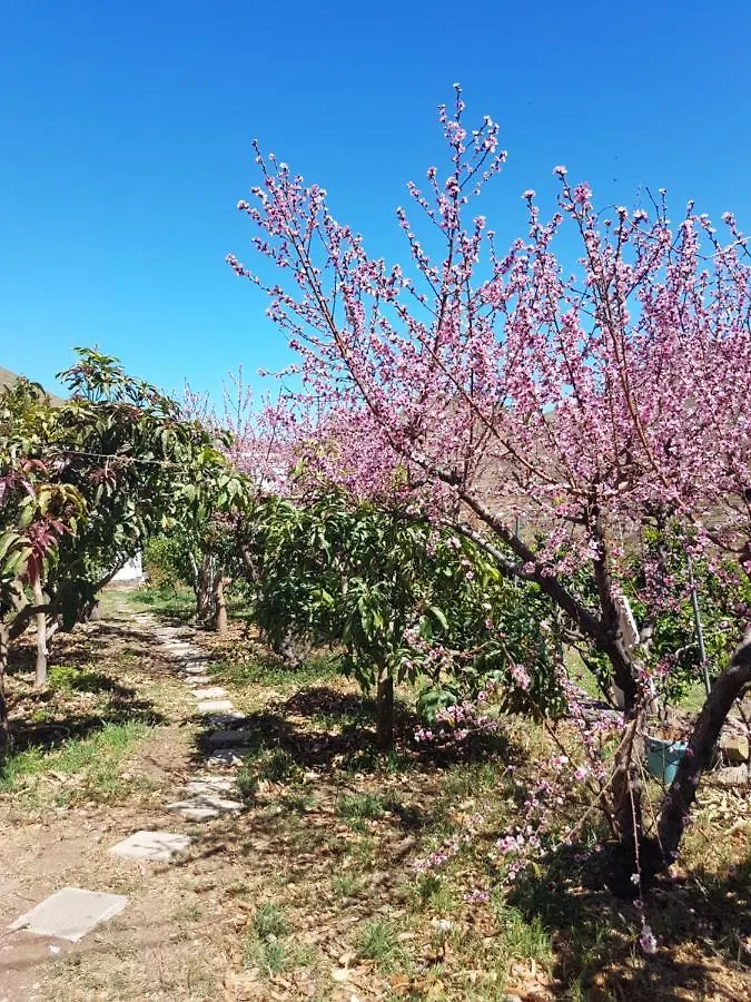 Apartamento rural en Santa Cruz de Tenerife Los Campitos