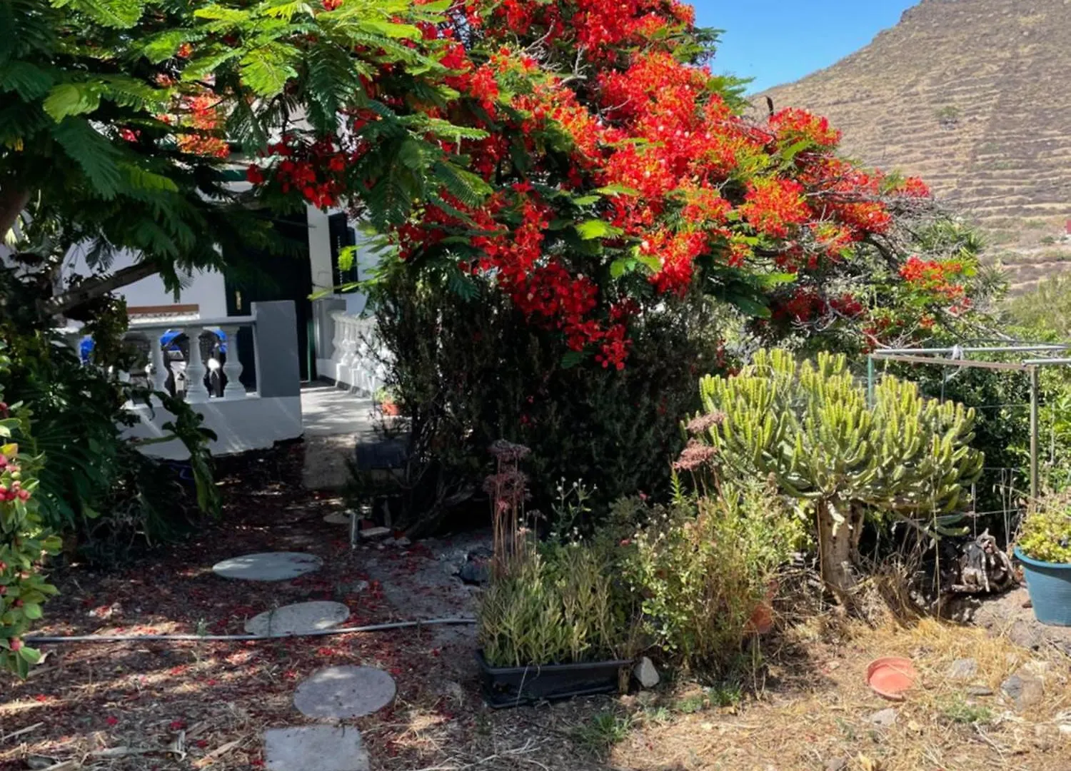 Apartamento rural en Santa Cruz de Tenerife Los Campitos España